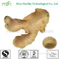 2014 price of ginger extract powder